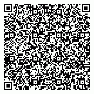 vCard 79299000539