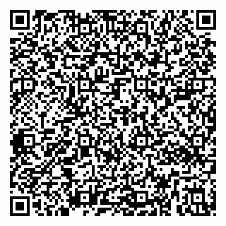 vCard 79299002039