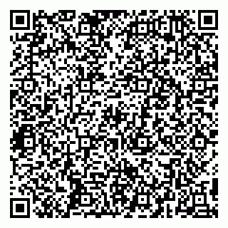 vCard 79299004100