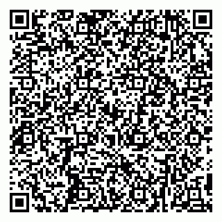 vCard 79299005331