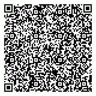 vCard 79299006403