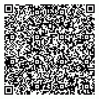 vCard 79299009504