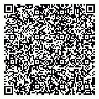 vCard 79299010013