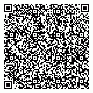 vCard 79299010020
