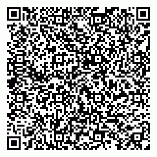 vCard 79299010029