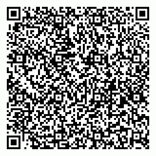 vCard 79299010080