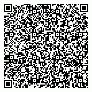 vCard 79299010133