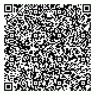 vCard 79299010209