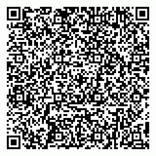 vCard 79299010271