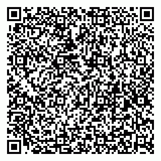 vCard 79299010273