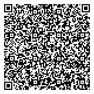 vCard 79299010304