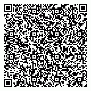 vCard 79299010308