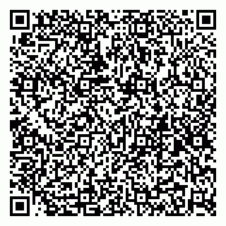 vCard 79299010309