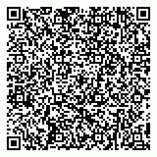 vCard 79299010331