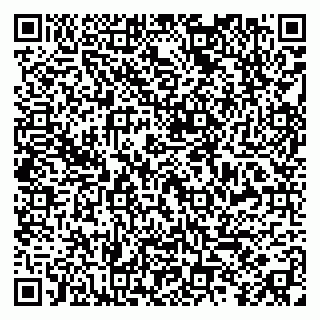 vCard 79299010335