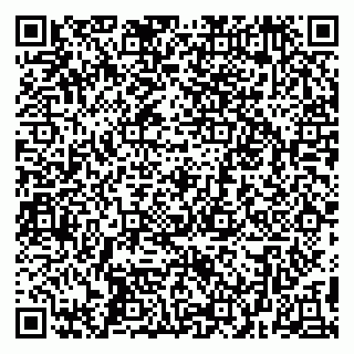 vCard 79299010389