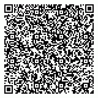 vCard 79299010403