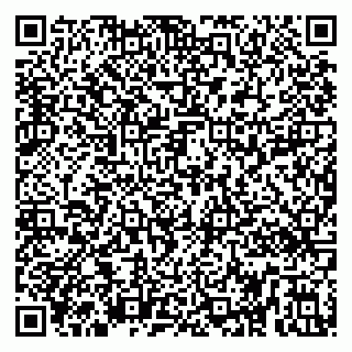 vCard 79299010503