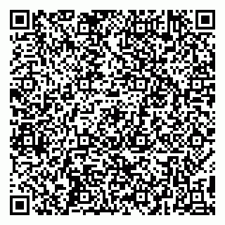 vCard 79299010803