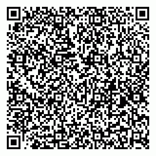 vCard 79299011003
