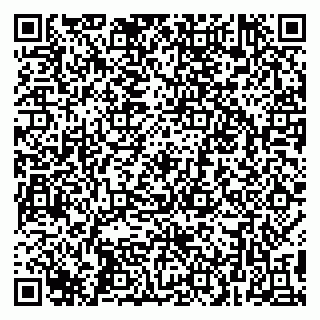 vCard 79299012803