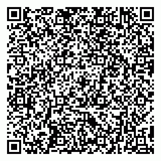 vCard 79299013003