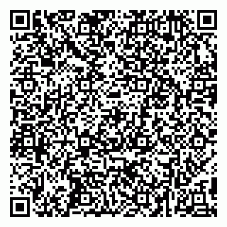 vCard 79299013039