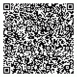 vCard 79299013100