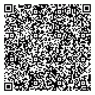 vCard 79299013181