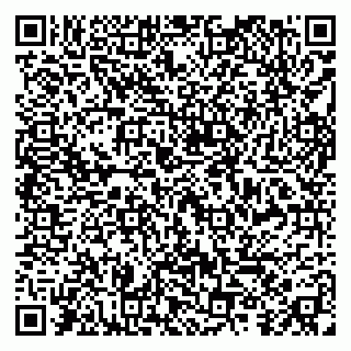 vCard 79299013183