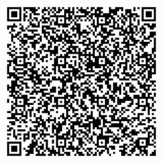 vCard 79299013199