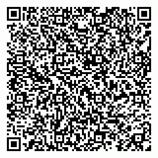 vCard 79299013203