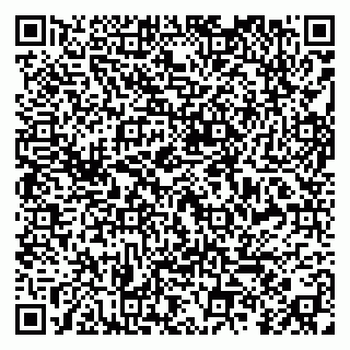 vCard 79299013207