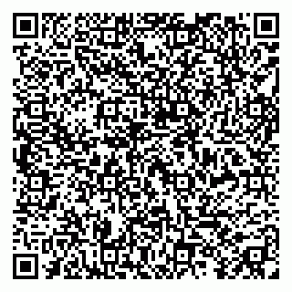 vCard 79299013221