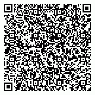 vCard 79299013239