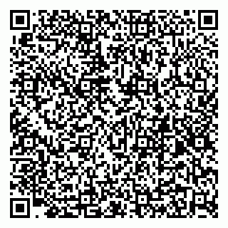 vCard 79299013241