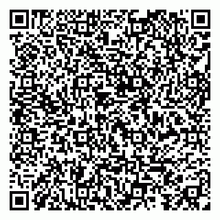 vCard 79299013273