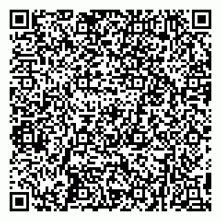 vCard 79299013274
