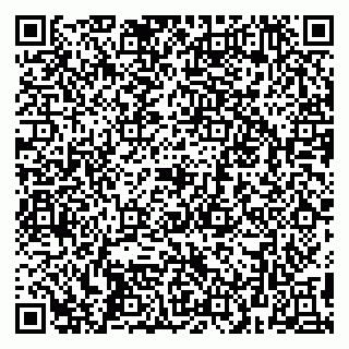 vCard 79299013285