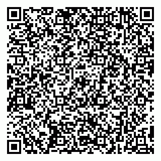 vCard 79299013301
