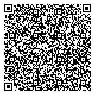 vCard 79299013306