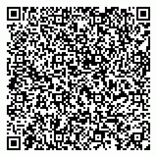 vCard 79299013363