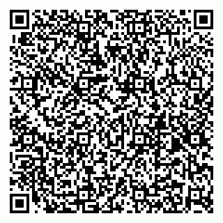vCard 79299013369