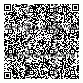 vCard 79299013370