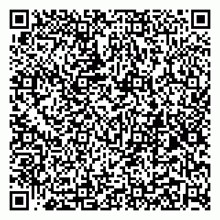 vCard 79299013371
