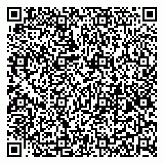 vCard 79299013377