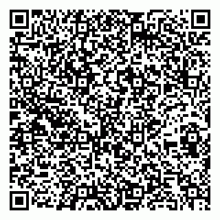vCard 79299013399