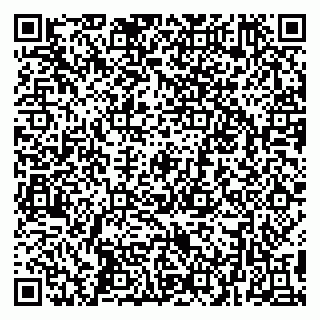 vCard 79299013402
