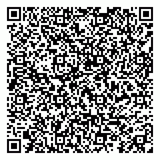 vCard 79299013403
