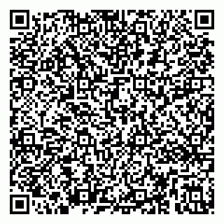 vCard 79299013471